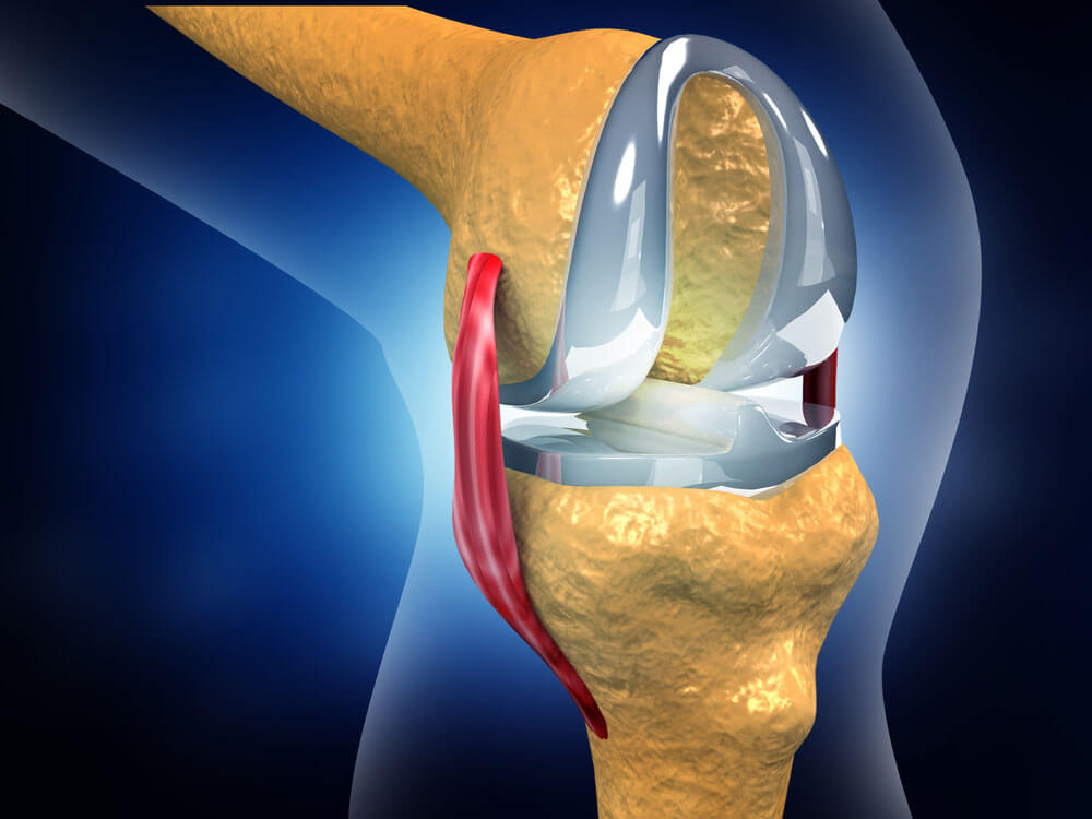 Best Knee ligament reconstruction surgery Surgeon/Doctor/Hospital/Clinic in Ahmedabad, Gujarat, ligament doctor Ahmedabad, ligament surgeon Ahmedabad