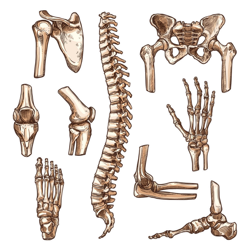Sports Injuries Doctor Ahmedabad, Gujarat